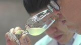 2022年産ヌーボーの品質審査会開かれる 甲州市の推奨ワインとして合格したのは11点 | 山梨のニュース | UTYテレビ山梨
