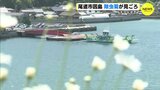 初夏の風物詩「除虫菊」が見ごろ　潮風に揺れ　今月中旬まで　広島･尾道市 因島　|　RCC NEWS | 広島ニュース | RCC中国放送