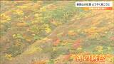 山がうねっているところに紅葉「神の絨毯」栗駒山でようやく見ごろ　宮城　|　宮城のニュース│tbc NEWS│tbc東北放送