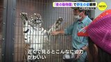 野性味あふれる動物を間近で「夜の動物園」が人気 飼育員らによるワンポイント解説で裏話も 広島|TBS NEWS DIG