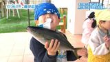 魚離れを防ぐ!保育園で魚の給食と出前授業 | 鹿児島のニュース|MBC NEWS|南日本放送