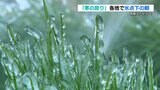 【寒の戻り】熊本県内各地で氷点下の朝 「真冬並みの寒さ」 日中は暖かく | 熊本のニュース|RKK NEWS|RKK熊本放送