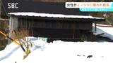 雪かき中にイノシシに突進され押し倒される 87歳の女性がけが 1月にも散歩をしていた73歳男性が襲われる 長野・木島平村|TBS NEWS DIG