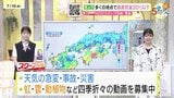 【7/19・20・21(土日月)広島天気】土曜は雲多めで日差し戻る 日月は晴れて危険な暑さ この時期にぴったりな曲も|TBS NEWS DIG