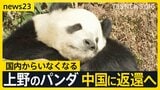 お別れ前にファン集結　上野のパンダ「シャオシャオ」と「レイレイ」“1分制限”も大行列　来月下旬に中国返還へ【news23】|TBS NEWS DIG