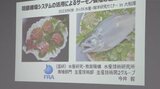 海の環境変化にも対応 最新の「養殖」で持続可能な水産業を目指す 岩手・大船渡|TBS NEWS DIG
