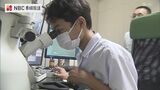 「1ミリの100万分の1」小さな世界を見よう 長崎大学で実験教室 | 長崎のニュース | 天気 | NBC長崎放送