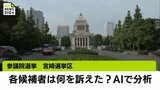 参議院選挙宮崎選挙区 各候補者は何を訴えた?AIで第一声を分析|TBS NEWS DIG