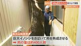 まさに「山の主」体重140キロ「巨大イノシシ」捕獲　実は2年前にも同じ場所で200キロ「巨大イノシシ」を捕獲していた　|　BSSニュース | BSS山陰放送