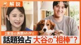 大谷翔平 史上初2度目の満票MVP、相棒の犬も話題に、移籍で地元も大変、ファンの生活にも影響?【Nスタ解説】|TBS NEWS DIG