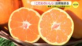 “メロン並みの甘さも” 糖度12度以上の高級ミカン「こだわりいしじ」出荷始まる 「酷暑で心配したが、糖と酸味のバランスがとれたいいミカンにできた」 広島・呉市|TBS NEWS DIG