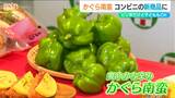 小学生が開発した“ピリ辛”の仕上がり 山古志の伝統野菜『かぐら南蛮』のコンビニ新商品 新潟県長岡市 | 新潟のニュース・天気|BSN NEWS|BSN新潟放送