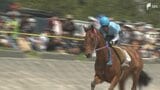 さがら草競馬大会疾走する姿に歓声 竜巻からの復興願い「ばん馬」を招待=静岡・牧之原市|TBS NEWS DIG