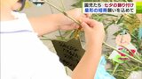 JR八戸駅で園児たちが「七夕」の飾り付け　どんな願い事をした？　青森県　|　青森のニュース│ATV NEWS│青森テレビ