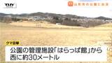 近くには小学校や住宅地も...山形市の公園でクマ1頭目撃　クマのその後の行方はわからず　公園は当面の間、閉園に　　|　山形のニュース│TUYテレビユー山形