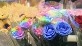 イラン攻撃開始から3か月…花の輸送コスト上昇 名古屋・中区の生花店で「バラ」ほぼ国産に…燃料費や肥料の価格高騰で生産者にも重荷|TBS NEWS DIG
