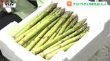 今年は甘みが強く美味く育つ! 最上町の特産品のアスパラガスが旬!(山形) | 山形のニュース│TUYテレビユー山形