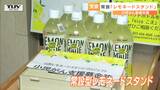 小児がん患者支援へ　常設の「レモネードスタンド」が山形県庄内町に　|　山形のニュース│TUYテレビユー山形