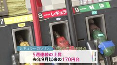レギュラーガソリン価格　約9か月ぶりに170円台に　補助金減額で| TBS CROSS DIG with Bloomberg