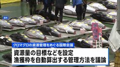 太平洋クロマグロの国際会議始まる　新たな資源管理方法など議論| TBS CROSS DIG with Bloomberg