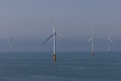 進まぬ日本の洋上風力、世界風力会議が入札制度の抜本的見直しを提言| TBS CROSS DIG with Bloomberg