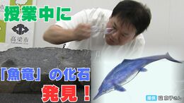 世界でも稀な「後期三畳紀の魚竜化石」美術館に展示中の岩石から発見　まさかの「中高生への授業中」に【岡山】|TBS NEWS DIG