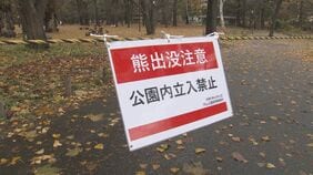 【ヒグマ速報】連日のヒグマ出没受け、札幌の円山公園を2週間程度全面閉鎖　札幌市|TBS NEWS DIG