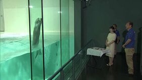 愛子さま　鳥羽水族館でラッコのジャンプに笑顔　三重県　きょうは伊勢神宮参拝と“お木曳”視察|TBS NEWS DIG