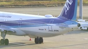 ANA 午後以降の運行ダイヤは影響なし 「エアバス」機体のアップデート作業進める　きょうは6便欠航で530人に影響|TBS NEWS DIG