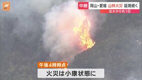 岡山市南部の山林火災 火災は小康状態に(午後4時時点) これまでに民家と倉庫の計6棟が焼ける|TBS NEWS DIG