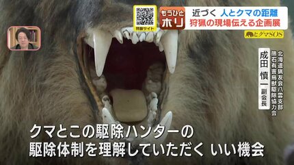 熊牙　ヒグマ牙　田中さん確認用 ヒグマSOS】250キロ超の“メタボヒグマ”も出現 北海道で急増するクマ