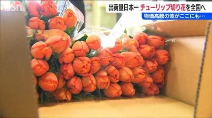 ここにも物価高騰の波「笑顔のために真心こめて育ててきた」出荷量日本