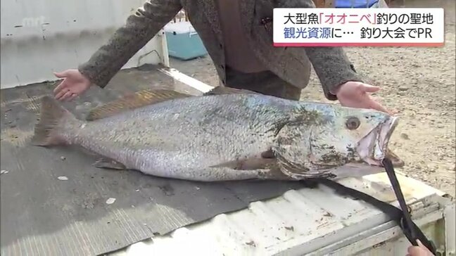 全国でも珍しい砂浜からの「オオニベ」釣り　180人が挑んだ聖地で1メートル32センチ出現|TBS NEWS DIG