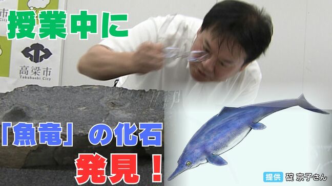 世界でも稀な「後期三畳紀の魚竜化石」美術館に展示中の岩石から発見 まさかの「中高生への授業中」に【岡山】|TBS NEWS DIG