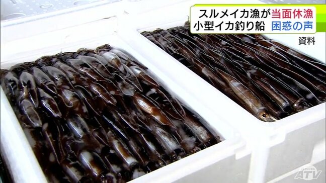 「目の前にイカがある状態で止められるのは非常に苦痛…」小型イカ釣り船による『スルメイカ漁』が当面の休漁に　足かせとなったのは水産庁が管理する漁獲可能量＝TAC　関係者から困惑の声|TBS NEWS DIG