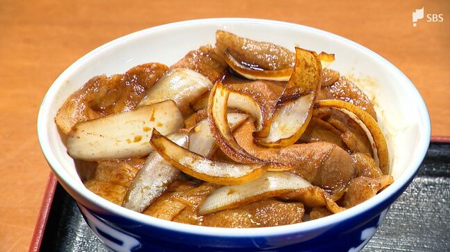夏を元気に「あつあつグルメ」お好み焼き(静岡)・肉丼(西伊豆)・炭焼きハンバーグ(浜松)【昭和100年愛されごはん】|TBS NEWS DIG