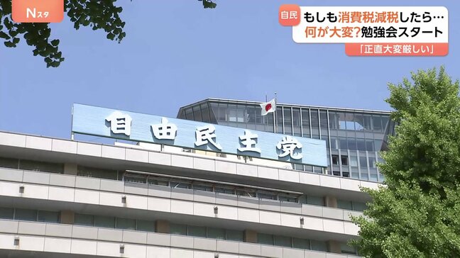 “消費税の減税”実施が可能か自民が勉強会　意見の集約は難航が予想|TBS NEWS DIG