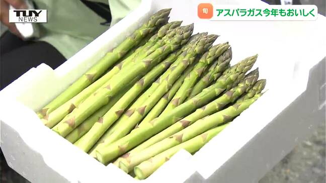 今年は甘みが強く美味く育つ！ 最上町の特産品のアスパラガスが旬！（山形）|TBS NEWS DIG