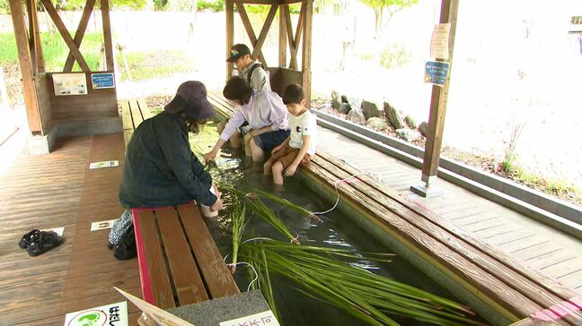 「こどもが素直に元気よく健康に育ってくれたら」端午の節句にあわせ温泉施設で菖蒲湯＝静岡市|TBS NEWS DIG
