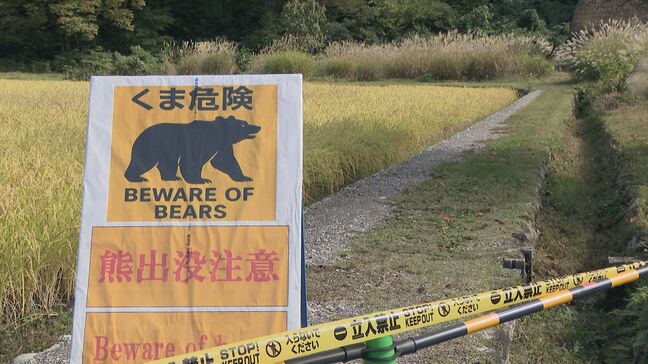 「クマの目撃情報は例年の3倍」 岐阜・白川郷けが人で警戒 でも外国人観光客は「宝くじで1等に当たる確率の方が高いわ」|TBS NEWS DIG