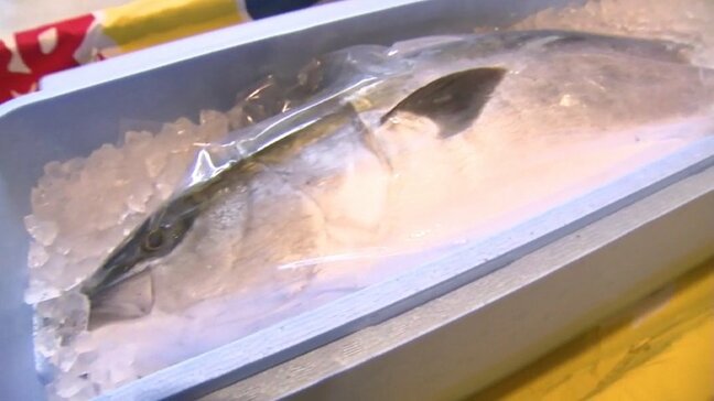 地震で３週間遅れの「ブリ尽くし」ひみ番屋街にぎわう 富山・氷見|TBS NEWS DIG