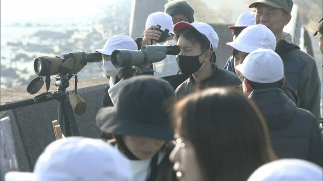 「くちばしがオレンジっぽくてかわいかった」絶滅危惧種・ツクシガモも　小学生が曽根干潟で野鳥観察会　福岡県北九州市|TBS NEWS DIG