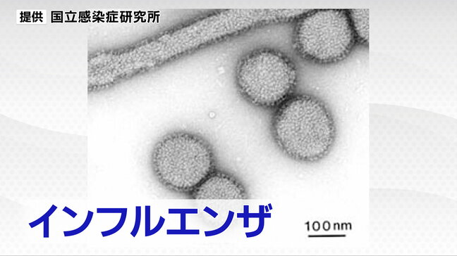 宮城県インフルエンザ感染者数 2週連続で増加 マスク着用や手洗い 換気など感染対策の徹底を県が呼びかける|TBS NEWS DIG