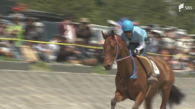 さがら草競馬大会疾走する姿に歓声 竜巻からの復興願い「ばん馬」を招待=静岡・牧之原市|TBS NEWS DIG