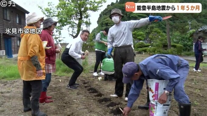 公費解体で集落に広がった“更地”…住民らが450本分のヒマワリの種を手植え　能登半島地震の被災地で行政が企画　富山・氷見市|TBS NEWS DIG