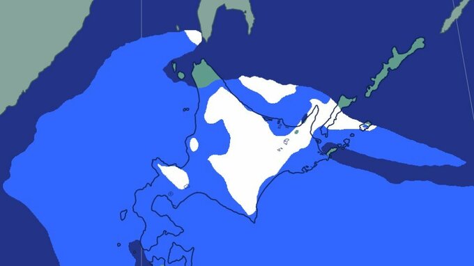 ゴールデンウィークの天気どうなる？北海道東部は雪…24時間で20センチの降雪予想も　お出かけは積雪や凍結路面に注意《全国の週間予報と降雪シミュレーション》|TBS NEWS DIG
