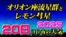 【レモン彗星最接近へ】２０日（月）の天気  位置 方角 見方 時間帯は 観測には好条件【オリオン座流星群２０２５】「彗星や流星を撮影してみよう」気になる天気|TBS NEWS DIG