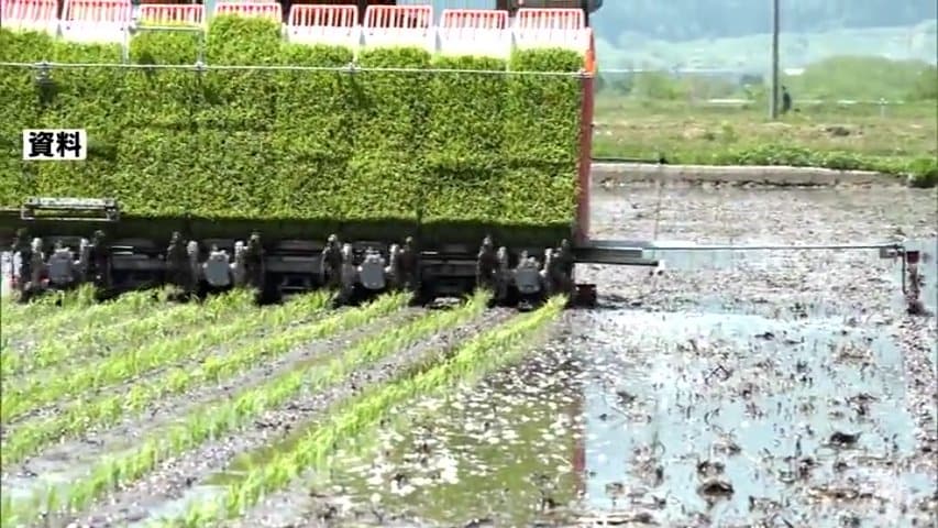 青森県内の田植え最盛期を迎える 進ちょく率は5月25日現在で85% 平年を