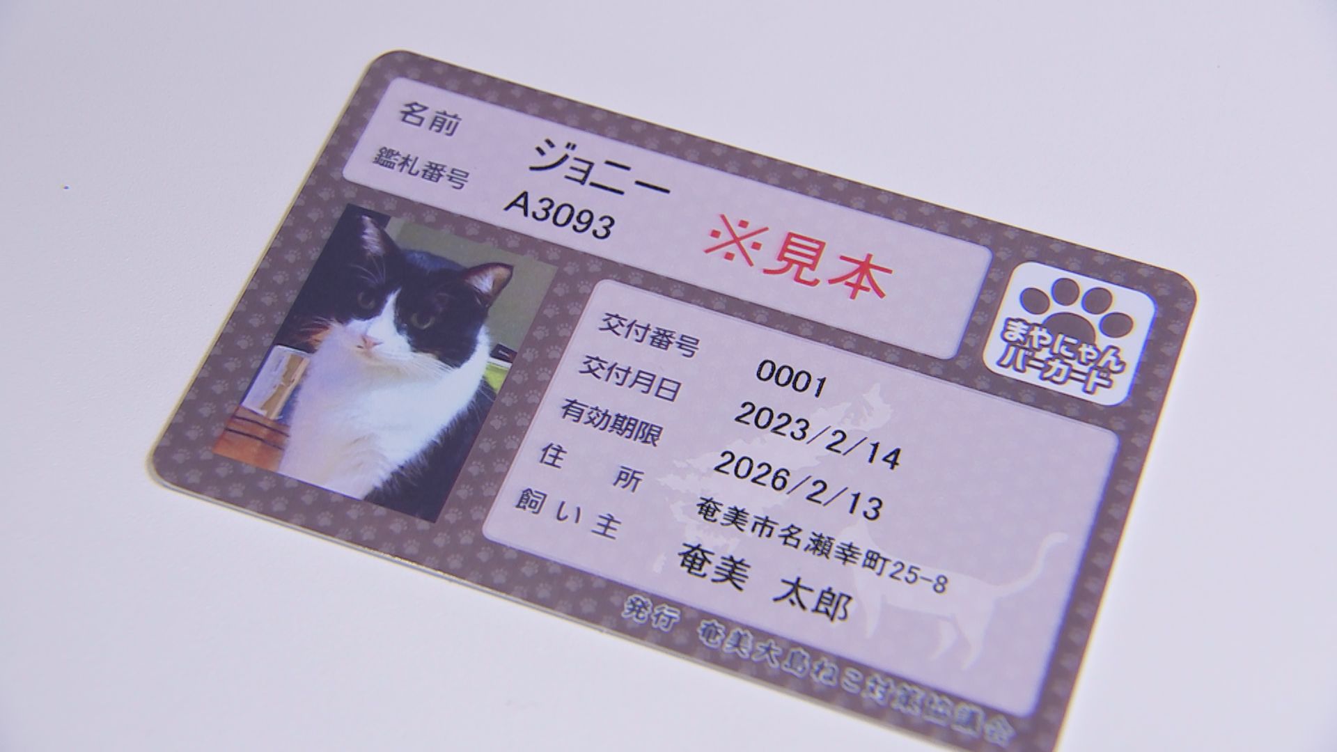 猫は室内飼い」ネコ用の“まやにゃんバーカード”4月から発行へ 鹿児島