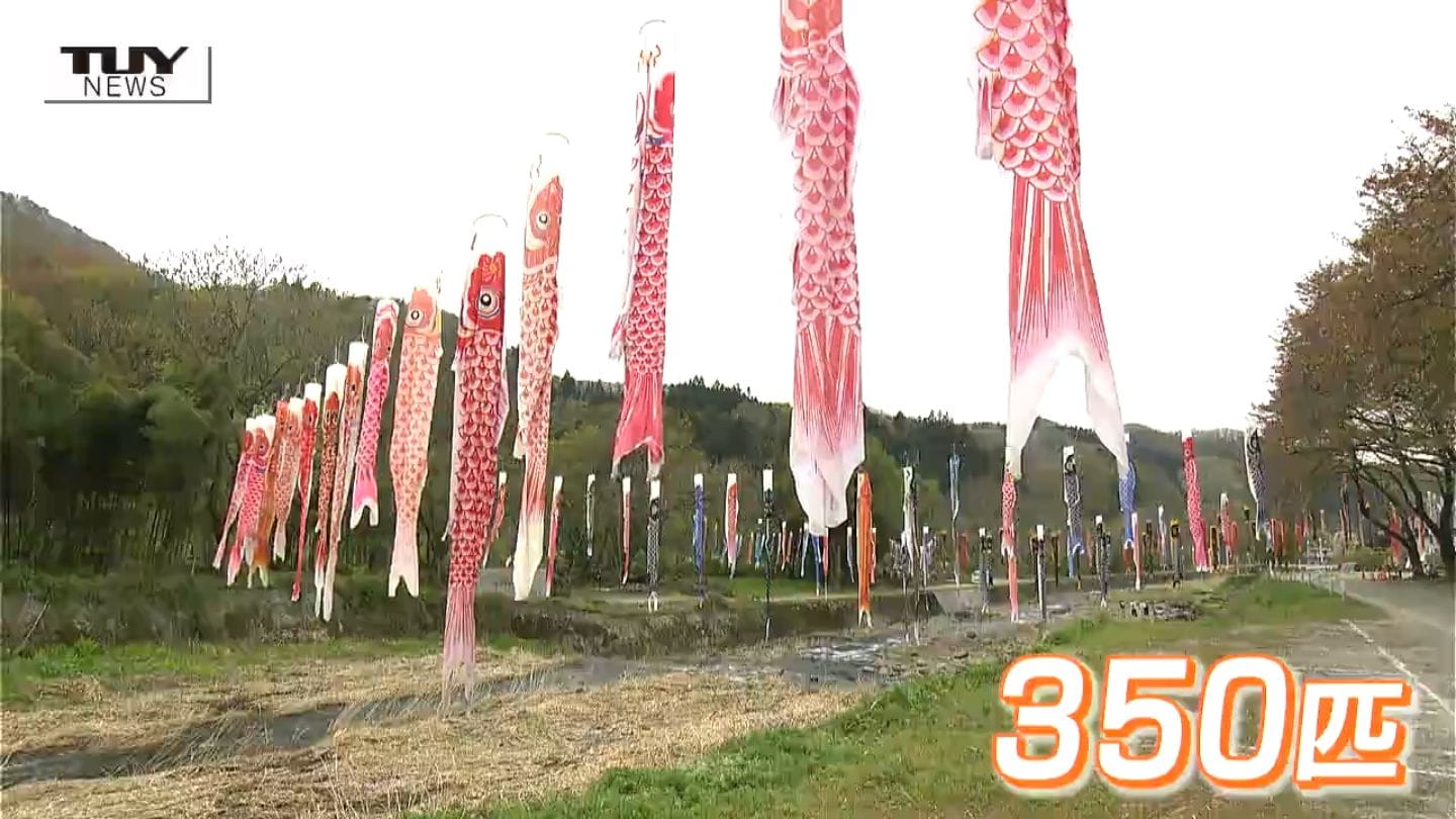 ゴールデンウィークお出かけスポット 村山高瀬川に色とりどりの